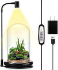 Maxdot Plant Terrarium Kit with Grow Light, 4.8'' x 7.87'' Glass Dome Terrarium with Air Hole and Base, Succulent Air Planter Fern Moss Micro Landscape Vase for Home Office Tabletop Decoration