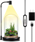 Maxdot Plant Terrarium Kit with Grow Light, 4.8'' x 7.87'' Glass Dome Terrarium with Air Hole and Base, Succulent Air Planter Fern Moss Micro Landscape Vase for Home Office Tabletop Decoration