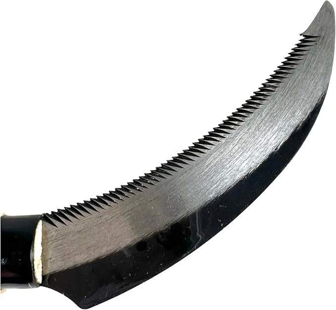 4.5" Kikufuji Serrated Blade Sickle for Bonsai Tree Re-Potting Tool & All Purposes Tool (KIKU4.5)