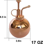 Stainless Steel Plant Sprayer, Small Watering Can Plant Misting Bottle, Modern Gardening Tools for Indoor Potted Plants Watering and Misting
