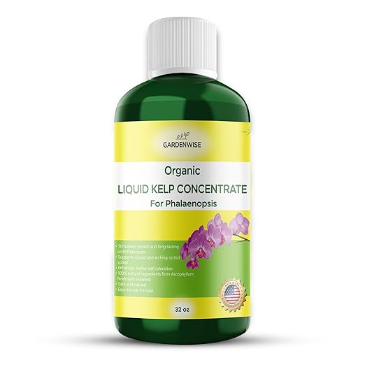 GARDENWISE Organic Premium Kelp Seaweed Concentrate: Fertilizer for Phalaenopsis Orchids – Liquid Plant Fertilizer – Orchid Bloom Booster – Seaweed Extract for Plants (32 OZ)