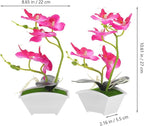 POPETPOP Mini Artificial Orchid Plant in Pot 10.62X8.66X2.16In Realistic Simulated Phalaenopsis Faux Flower for Desk Bathroom Kitchen Decor Small Potted Plant