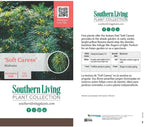 Southern Living Soft Caress Mahonia,1-Gallon Evergreen Flowering Shrub, 3-4 ft Tall and Wide, Yellow Blooms