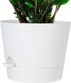 SwinDuck 12inch Large Self Watering Plant Pot, Plastic Cylinder Planter with 60Oz Deep Reservoir and Saucer for Indoor Outdoor Plants Flowers Houseplants, White