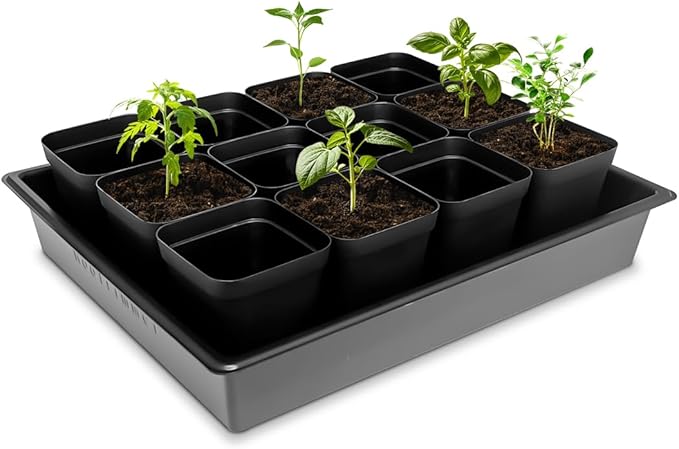 RooTrimmer Seed Starter Tray, 5 Packs Plant Tray, Durable Plastic Growing Trays, Stackable Seedling Starter Trays Perfect for Indoor, Outdoor, Greenhouses, 16.5" L x 13.2" W x 2.8" H - Black