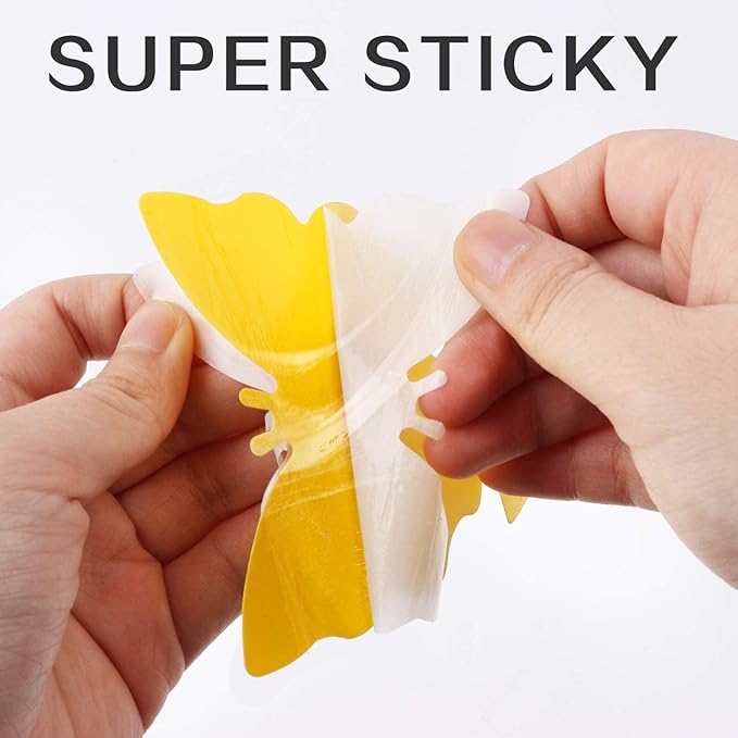 72PCS Fruit Fly Sticky Traps Fungus Gnat Traps Insect Trap for Plants Kitchen Indoor Outdoor White Flies Mosquitos Fungus Gnats Flying Insects Houseplant Gifts