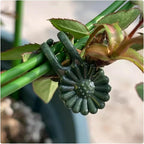 100Pcs Large Plant Clip,Daisy Garden Flower Plant Clip,for Orchids Vine Clip Support Stem Vine Upright Growth (Green)