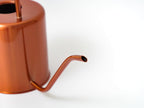 Plexon Rose Gold Metal Watering Can Indoor Plants, 54 oz Stainless Steel Long Spout Watering Can Outdoor House Plant Flower, Garden