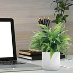Coferset Small Fake Plant Fern Potted Artificial Plants for Shelf Desk Home Bathroom Farmhouse Room Office Kitchen Farmhouse Coffee Table Decor