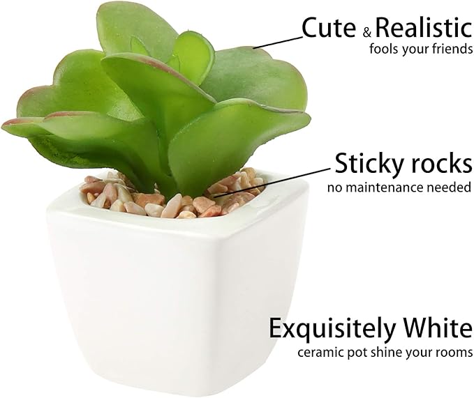 Briful Mini Fake Plants 4 Packs Assorted Artificial Succulents Plants Potted Faux Succulents Plants in Ceramic Planter Pot for Home Decor Indoor Bathroom Shelf Tabletop