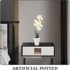 Faux Butterfly Orchid Bonsai Tabletop Potted Plant White Artificial Flower Home Decor Indoor Decorative Faux Plant for Living Room Office Desk