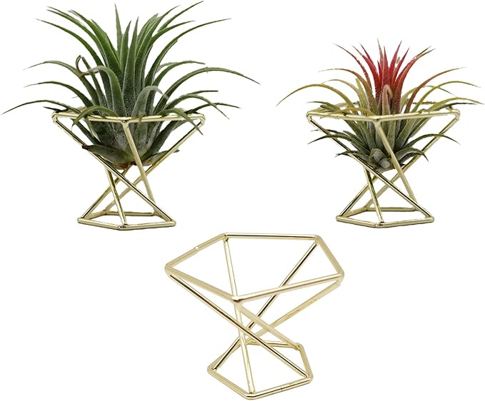 Geometric Air Plant Holder Airplants Rack Metal Plants Stand Planter Shelves Himmeli Living Decor Tillandsia Pot Containers (Gold 3pcs)