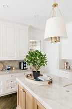 GnFlus Artificial Tree, 17'' Ficus Bonsai, Premium Faux Planted Potted Decor for Home Table Office Desk Bathroom Bedroom Living Room Farmhouse