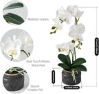 Avoeco Artificial Real Touch Orchid Plant – 20″ Faux Phalaenopsis in Pot – Highly Realistic Silk Orchid Flower & Leaf Texture for Home, Office,Shop & Wedding Décor (1 White, 20”)