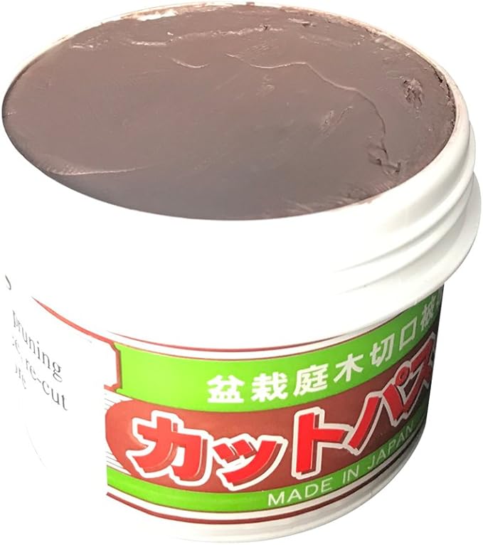 Bonsai Cut Paste for Deciduous - 160 Grams + Made in Japan, Pruning Sealer for an Injury to The Bark, Putty Based Wound Sealant for Perimeter Cuts to The Tree