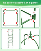 MYMULIKE Garden Trellis for Climbing Plants Outdoor & Indoor - 6Ft Tall Rustproof Plant Support Cage for Vines, Flowers, Vegetables, Roses | Heavy-Duty, Adjustable & Decorative (3)