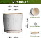 8 Inch Plant Pot, Ceramic Planter for Indoor Plants Outdoor, Round Planter with Drainage Hole and Tray, Boho Flower Pot, Decorative Pots for Plants, Home Decor, Plant Lover Gifts, White