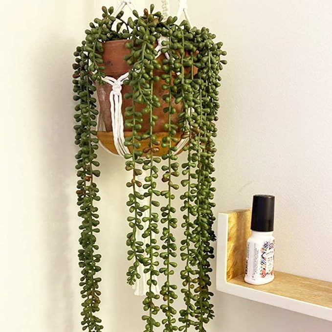 3pcs Artificial Fake String of Pearls Plant Faux Fake Hanging Succulents Plants