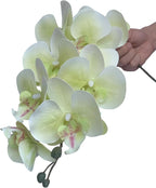 FagusHome 32 Inch Artificial Phalaenopsis Flowers 6 Pcs Artificial Orchid Flowers Stem Plants for Home Décor (Light Green), FH1000143
