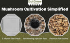 Mushroom Grow Kit (Quick Kit)