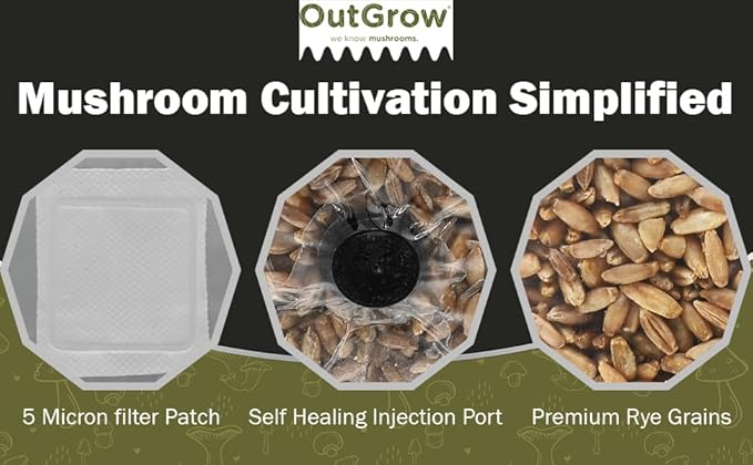 Mushroom Grow Kit (Quick Kit)