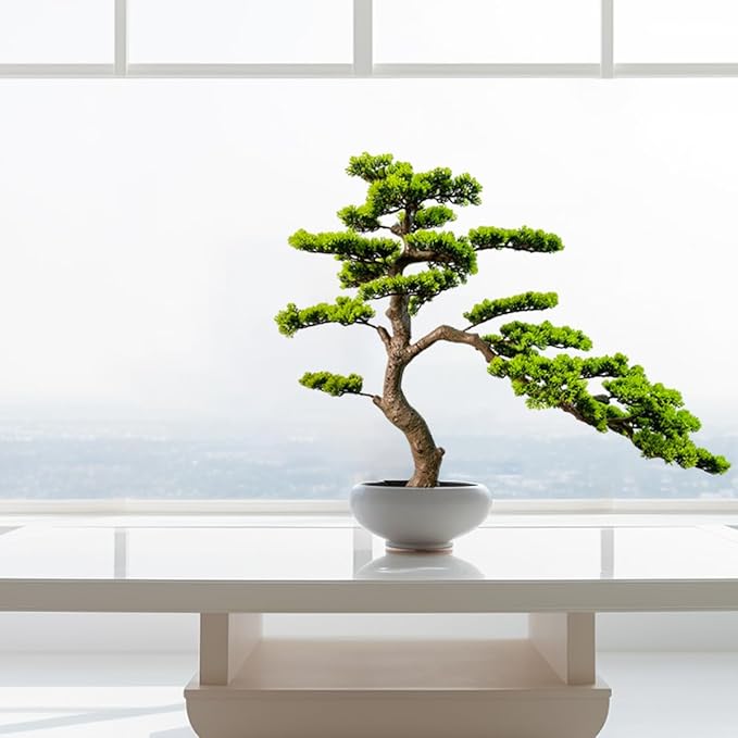 3ft（36in） Artificial Bonsai Tree Juniper Faux Plants Indoor Big Fake Plants Decor with Ceramic Pots for Home Table Office Desk Shelf Bedroom Living Room Decorations (Green)