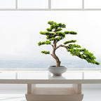 3ft（36in） Artificial Bonsai Tree Juniper Faux Plants Indoor Big Fake Plants Decor with Ceramic Pots for Home Table Office Desk Shelf Bedroom Living Room Decorations (Green)