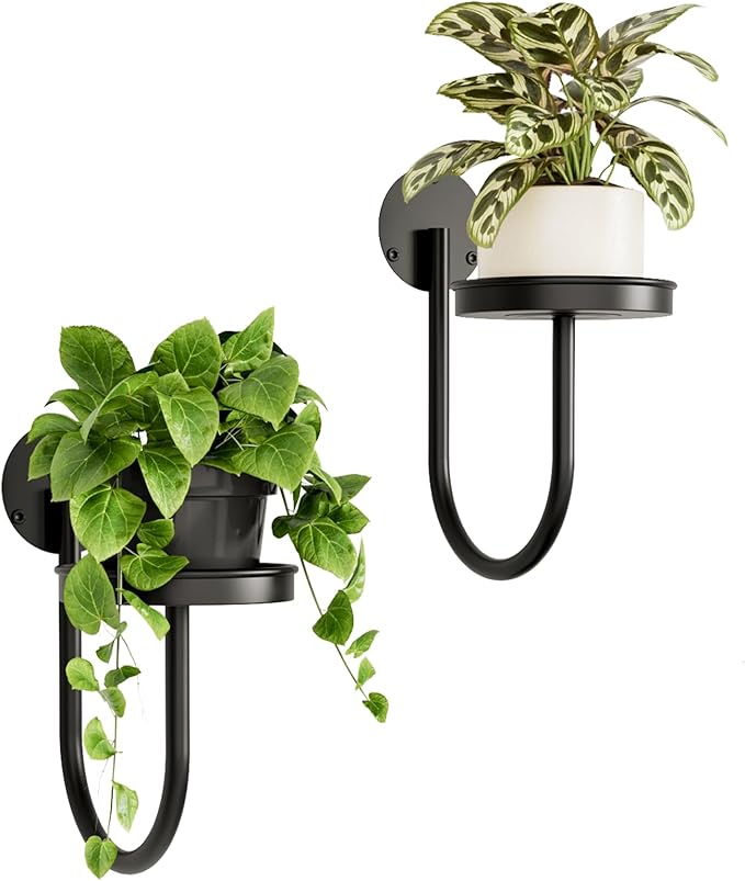 Bamworld Hanging Planters for Indoor Plants Wall Plant Holder Plant Hanger Indoor Wall Planters Window Plant Shelves Hanging Plant Holder Window Plant Hanger Plant Decor Black 2pc