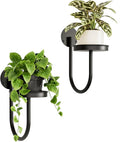 Bamworld Hanging Planters for Indoor Plants Wall Plant Holder Plant Hanger Indoor Wall Planters Window Plant Shelves Hanging Plant Holder Window Plant Hanger Plant Decor Black 2pc