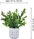 Winlyn Set of 2 Artificial Potted Plants Potted Eucalyptus Plant Artificial Grass in Modern Concrete Plant Pots Outdoor