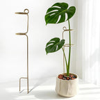 Gold Flower Stakes and Supports - Stylish Indoor Plant Trellis for Pothos, Amaryllis, Monstera, Fishbone Cactus, and Orchids | Perfect Home Garden Decor