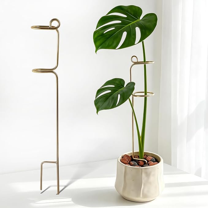 Gold Flower Stakes and Supports - Stylish Indoor Plant Trellis for Pothos, Amaryllis, Monstera, Fishbone Cactus, and Orchids | Perfect Home Garden Decor