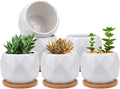 Jucoan 6 Pack Ceramic Succulent Planter Pot with Bamboo Tray, 4 Inch Small White Diamond Shaped Cactus Herb Flowers Planter with Drainage Hole for Indoor Home Office Decor