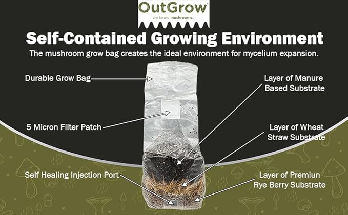 All in One Mushroom Grow Bag (2 Pack)