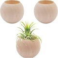3 pcs Wood Air Plant Holder Air Plant Pots Air Plants Display Containers Table Centerpiece Succulent plants Pot for Home Office Tabletop Decor