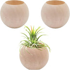 3 pcs Wood Air Plant Holder Air Plant Pots Air Plants Display Containers Table Centerpiece Succulent plants Pot for Home Office Tabletop Decor