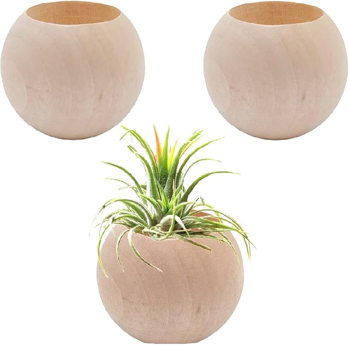 3 pcs Wood Air Plant Holder Air Plant Pots Air Plants Display Containers Table Centerpiece Succulent plants Pot for Home Office Tabletop Decor