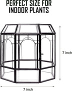 REDHUGO Large Glass Terrarium Handmade, Centerpiece Display Box Gift Planter Containers Indoor Terrariums House for Succulent Cacti Air Plants Miniature Fairy Garden