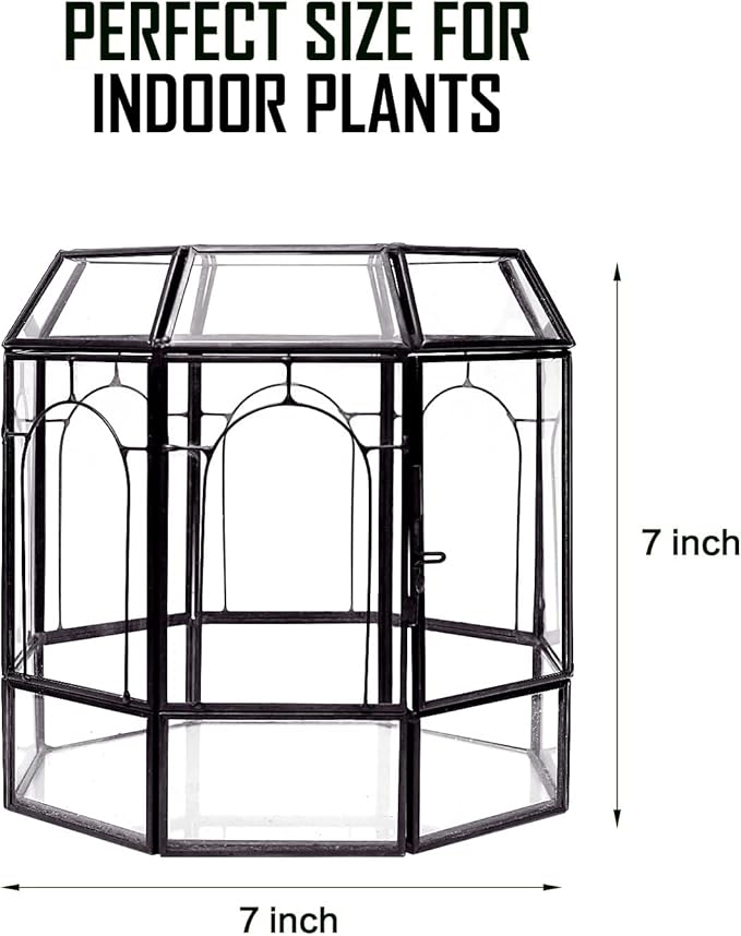 REDHUGO Large Glass Terrarium Handmade, Centerpiece Display Box Gift Planter Containers Indoor Terrariums House for Succulent Cacti Air Plants Miniature Fairy Garden