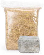 North Spore 'MushBucket' Blue Oyster Mushroom Bucket Grow Kit | Grow Mushrooms | Organic Mushroom Grow Kit