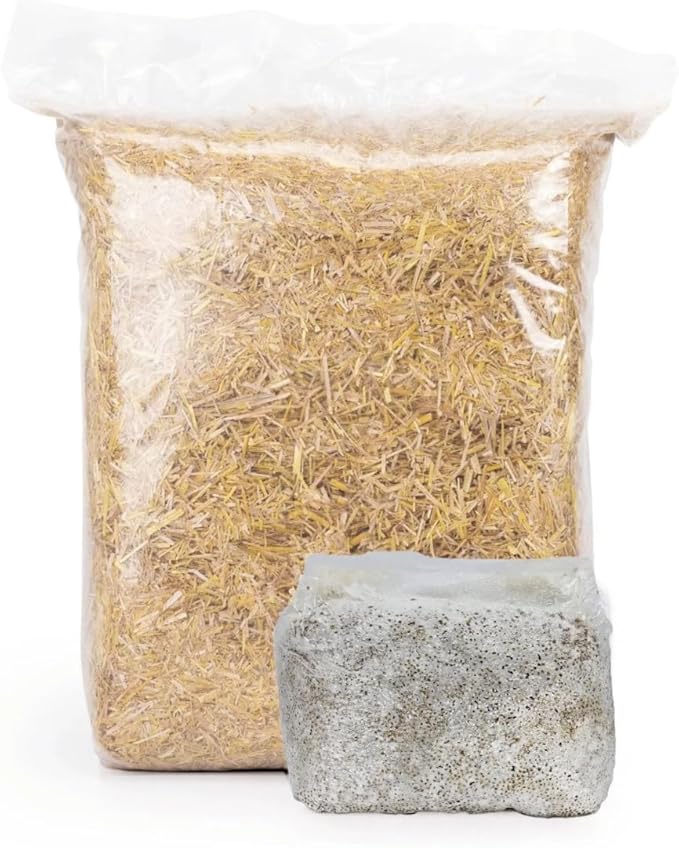North Spore 'MushBucket' Blue Oyster Mushroom Bucket Grow Kit | Grow Mushrooms | Organic Mushroom Grow Kit