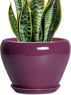 Ceramic Planter - 8 Inch Plant Pot Indoor with Drainage Hole and Saucer, Glaze Decorative Planter, Round Flower Pot, Plant Lover Gifts, Home Garden Office Decor, Purple