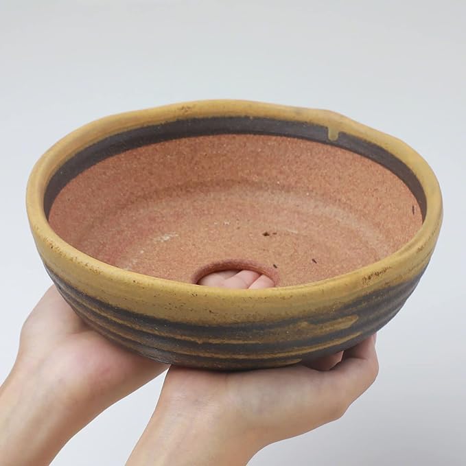 Wazakura Shigaraki Series Yellow Dust Stripe Glazed Ceramic Bonsai Pot Made in Japan, Garden Training Container, Flower Planter, Succulent Bowl - Yellow Sand Big Size