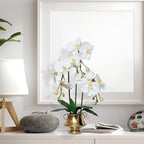 CXGS Orchids Artificial Flowers Realistic Fake Flowers in Ceramic Vase 20" White Faux Plants Indoor Lifelike Soft PU Phalaenopsis for Centerpiece Hotel Home Decor