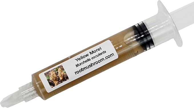Root Mushroom Farm- Mushroom Liquid Cultures/Yellow Morel(Morchella esculenta)