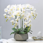 Decor Artificial Flowers with Vase Artificial Orchid with Vase Fake Flower Phalaenopsis Faux Plants for Home Decor Living Room Decoration 60cm Faux Flowers Arrangements Ornaments,White