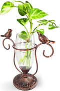 Vintage Glass Plant Propagation Station, Propagation Terrarium Flower Vases, Plant Lovers Gifts for Office Living Room Desk Decor (Copper Bird)