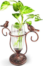 Vintage Glass Plant Propagation Station, Propagation Terrarium Flower Vases, Plant Lovers Gifts for Office Living Room Desk Decor (Copper Bird)