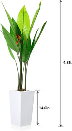 4.7FT Artificial Bird of Paradise Plant, Faux Banana Tree in White Tall Planter, Decorative Evergreen Tropical Floor Plant for Living Room, Entryway, Porch, Office