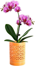 Orchid Pots with Holes 4 Inch, Ceramic Orchid Pot for Repotting with Saucers,More Ventilation Hole Easy Breathing, Plant Pot for Repotting Orchids and Other Flowers - Indoor/Outdoor Orange